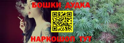 индика Кандалакша