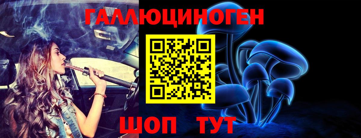 Дивногорск  как найти   Вход с VPN  Псилоцибиновые грибы Cubensis 