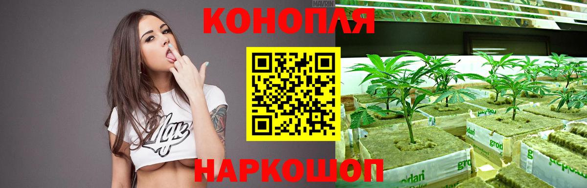 МАРИХУАНА планчик  Бошки Шишки AK-47  Вход с VPN  Шишки марихуана семена  Дивногорск 